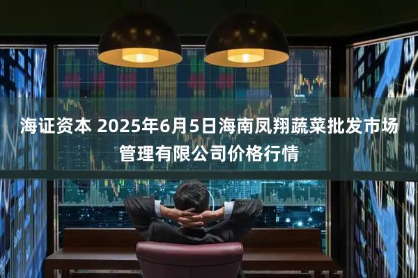 海证资本 2025年6月5日海南凤翔蔬菜批发市场管理有限公司价格行情